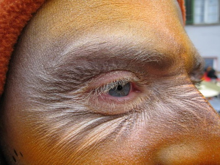 Surris2009 02012009 3343